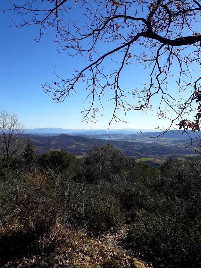Il Vecchio Frantoio Villa Panicale Buitenkant foto